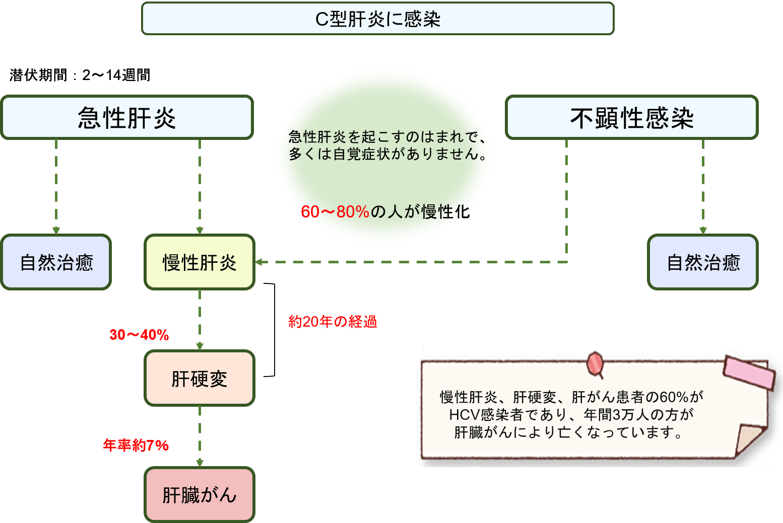 遺伝子型は治療にどのような影響を及ぼしますか?