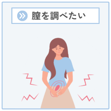 膣を調べたい