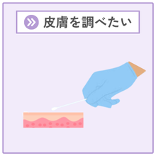 皮膚を調べたい