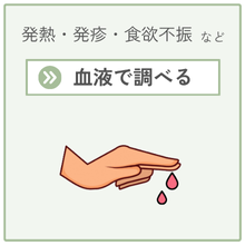 血液で調べたい