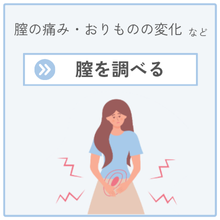 膣を調べたい
